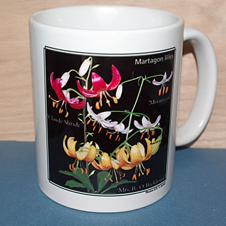 mug DS-094 6696.jpg